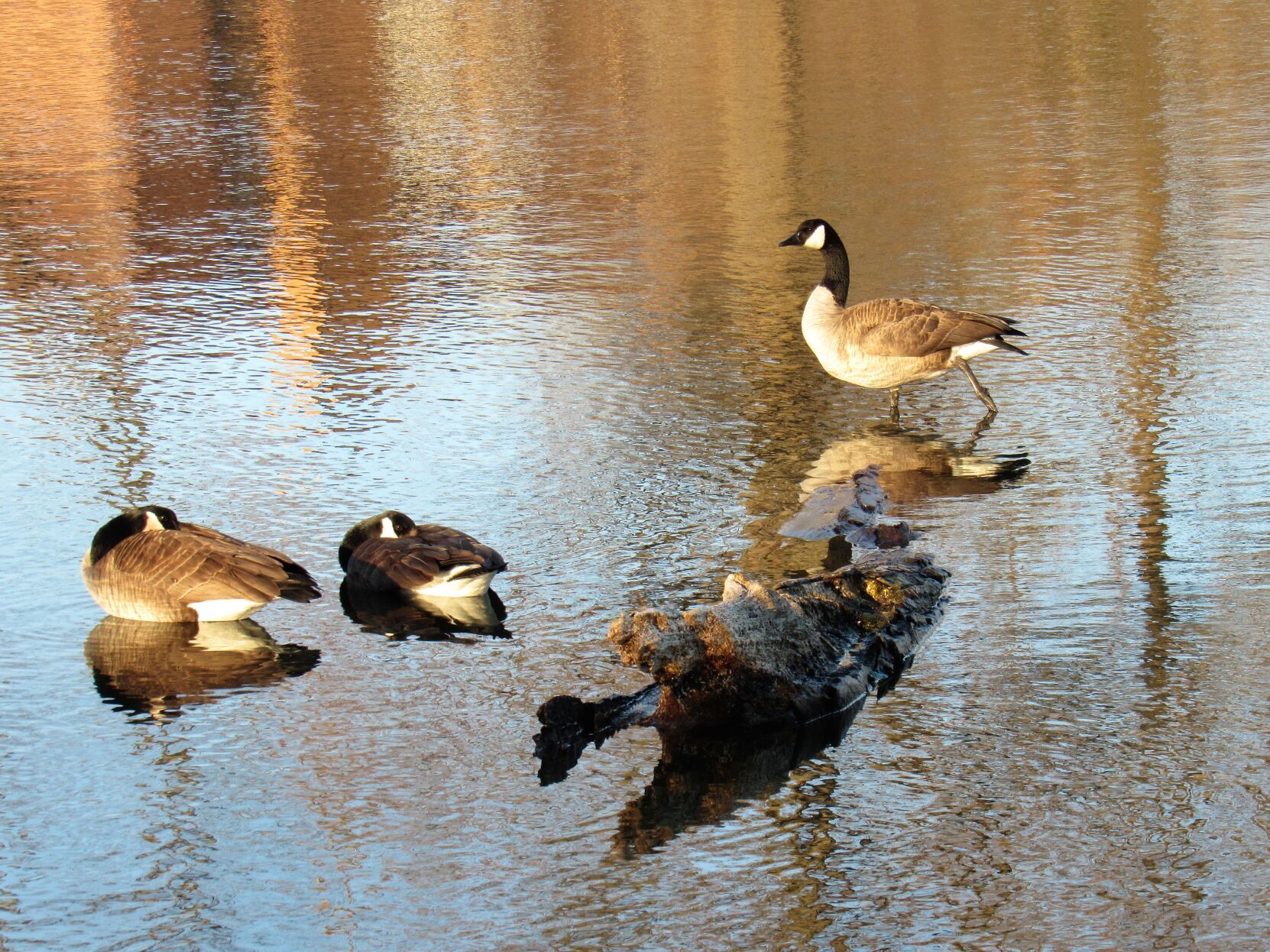 IMG_7326.JPG